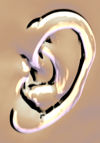 Ear