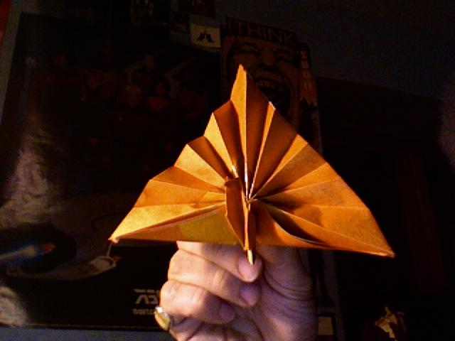 dollar bill origami peacock. lt;bgt;origami peacocklt;gt;