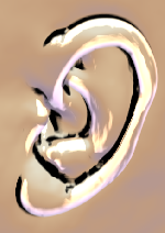 Ear